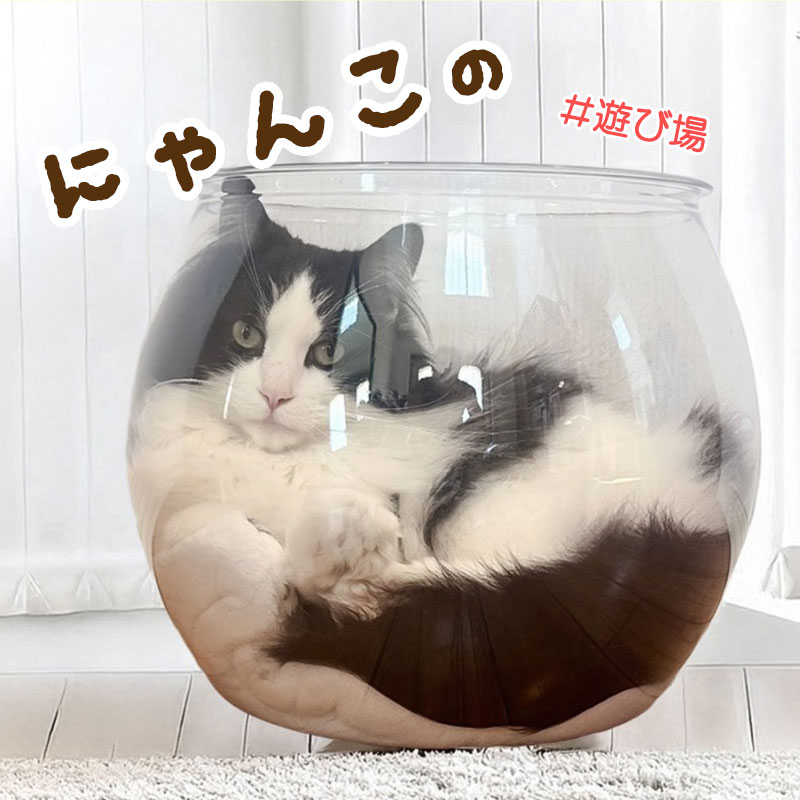 猫 ドーム 猫ベッド 猫ハウス 幅27cm 奥行27cm 高28cm 透明ボール 猫ボウル 猫 ペットベッド ペットハ..