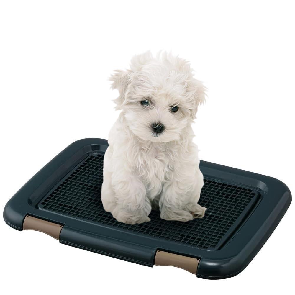 アイリスオーヤマ 犬 トイレ メッシュカバー付 フチもれしにくいトレーニングペットトレー レギュラー 銀イオン配合 抗菌 ネイビー