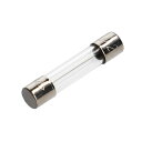 エーモン(amon) 管ヒューズ 20A (約φ6.4×長さ約30mm) 5本入 3657(2)