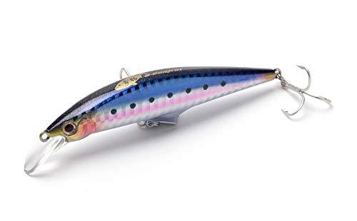 ジャクソン　Gコントロール　28g　GNR　銀粉イワシ
