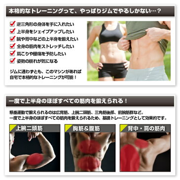 【スーパータイムセール/8月1日0時〜9日2時迄】【基本送料無料/大型宅配商品】アルインコ直営店 ALINCOEX900T 懸垂マシンストレッチ 懸垂 ぶら下がり健康器ぶら下がり 懸垂 懸垂器具 背筋 チンニング筋トレマシン ホームジム