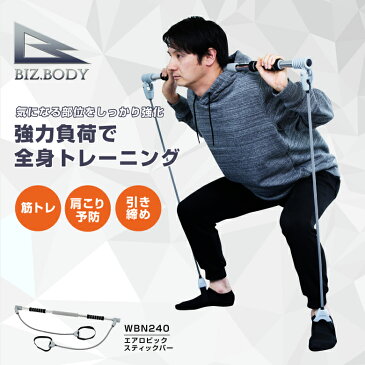 【スーパータイムセール/8月1日0時〜9日2時迄】【合計3,980円(税込)以上で基本送料無料】アルインコ直営店 ALINCOWBN240 エアロスティックバーアームバー エクササイズバー上半身 腕 胸 背中上腕二頭筋 大胸筋 筋トレ トレーニング運動不足