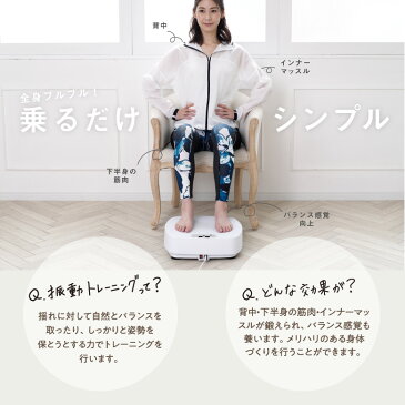 【スーパータイムセール/8月1日0時〜9日2時迄】【基本送料無料】アルインコ直営店 ALINCOWBN5019W 振動マシン バランスウェーブコンパクト筋トレ 乗るだけフィットネス diet 器具転倒防止 おうち時間