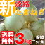 配送中【淡路島産 新玉ねぎ3kg】【有機肥料使用】【送料無料】有名飲食店・ホテル指名買い 淡路島産たまねぎ 3kg+10%保障(玉葱 タマネギ 淡路産 兵庫県 サラダ お土産 淡路島新たまねぎ 淡路島新玉ねぎ タマネギ 淡路島玉葱 野菜 お取り寄せグルメ お取り寄せ)