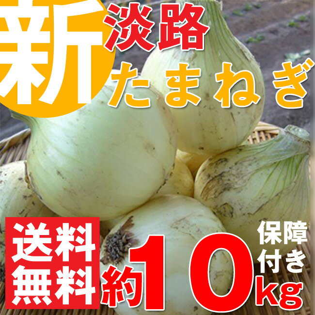 【淡路島 新玉ねぎ 約10kg】【有機肥料使用・生産者限定】【送料無料】淡路島産 新たまねぎ 9kg＋10%保..