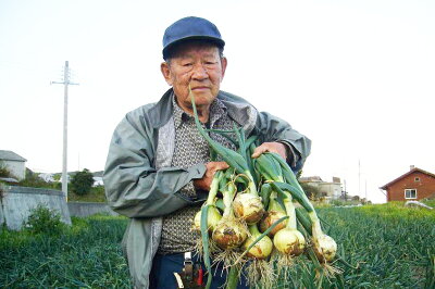 淡路島玉ねぎ