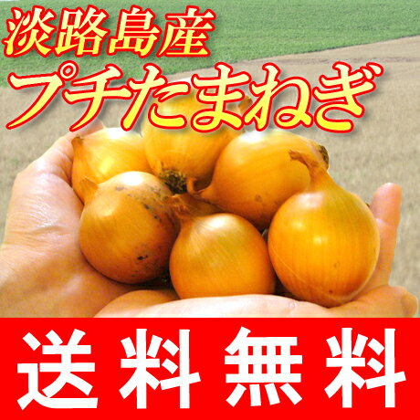 【淡路島 プチたまねぎ 2kg】【有機肥料使用・生産者限定】【送料無料】淡路島産 小たまねぎ 2kg+10%保障[小玉葱/小タマネギ/兵庫県/2kg/血液サラサラ　淡路たまねぎ/サラダ/玉ねぎ 茶/淡路島玉ねぎ/タマネギ/淡路島玉葱/ギフト/健康/野菜 お取り寄せグルメ お取り寄せ]のサムネイル