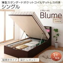 開閉・深さが選べる　ガス圧式 跳ね上げ収納ベッド Blume ブルーメ 薄型スタンダードポケットコイルマットレス付き 縦開き シングル 深さレギュラーシングルベッド シングル マットレスシングル マットレス付 収納ベッド