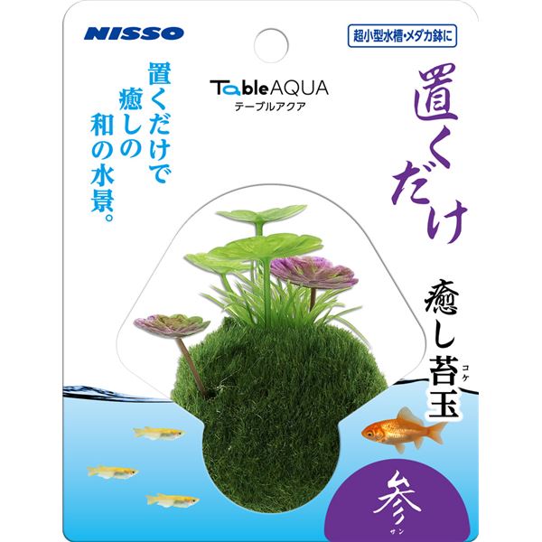 テーブルアクア 置くだけ癒し苔玉 参 （サン） 【×3セット】 （観賞魚 / 水槽用品） 【お徳用 まとめ買い お買い得 業務用 割引 セット販売】 【 ペットフード ・ ペット用品 ペット・ペットグッズ 飼育 熱帯魚 めだか 水槽 ペットフード 熱帯魚・アクアリウム 】