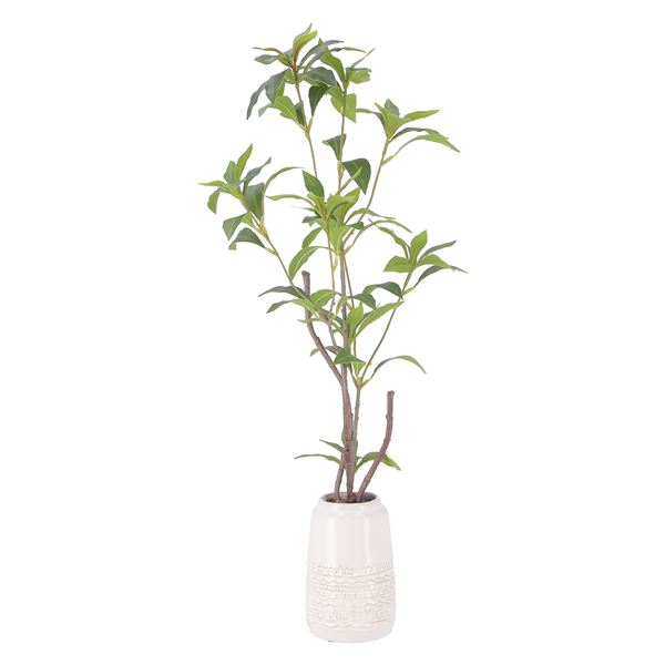 フェイクグリーン 観葉植物 約幅260mm ギンモクセイ セラミックポット リビング ダイニング インテリア家具 引っ越し（メーカー名:不二貿易） インテリア 家具 観葉植物