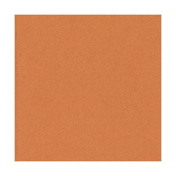 リンテック ニューカラーR 八つ切 おうどいろ 8NCR-210 1パック （100枚） 【×5セット】 【お徳用 まとめ買い お買い得 業務用 割引 セット販売】 日用品雑貨・文房具・手芸 文房具・事務用品 文具 オフィス用品 文房具 事務用品 ノート・紙製品 画用紙