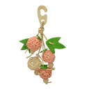 ナチュラルハンガー フルーツ 【×5セット】 (鳥用品 / 玩具) 【お徳用 まとめ買い お買い得 業務用 割引 セット販売】 【 ペットフード ・ ペット用品 飼育 小鳥 ペットフード 遊び PET グッズ 】