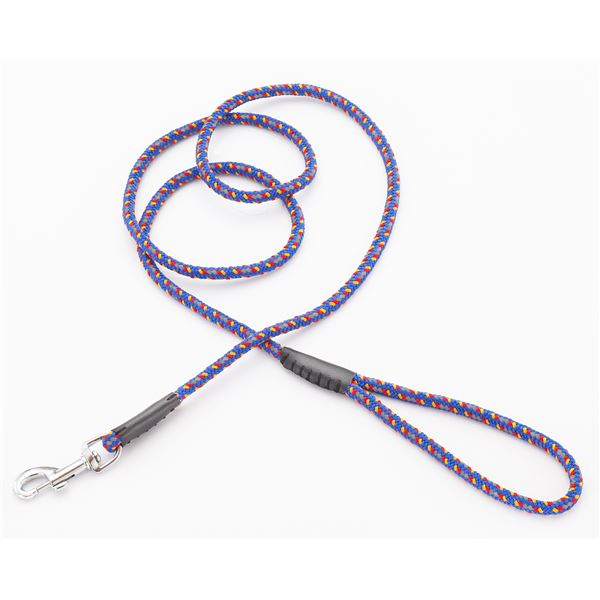 【お買い得 まとめ買い 】 ネオンリード 10mm ブルー【×3セット】 (犬用品/リード)