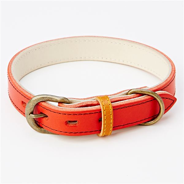 アンティークレザースタイルカラー XS レッド （犬用品 / 首輪） 【ペットフード ・ ペット用品 犬 犬用品 PET 犬 グッズ DOG 】