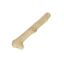 カフェウッド チャンプ M 【×2セット】 (犬用玩具) 【お徳用 まとめ買い お買い得 業務用 割引 セット販売】 【 ペットフード ・ ペット用品 犬 犬用品 犬用 おもちゃ しつけ 遊び PET 犬 グッズ DOG 】