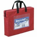 【まとめ買い セット販売】 ミワックス キャリーバッグ CB-440-R A4 マチ付 赤【×2セット】