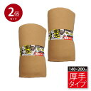 毛布 厚手 約140×200cm シングル 引っ越し 家具保護 あて布 緩衝 防寒 備蓄 養生 2個セット【代引不可】