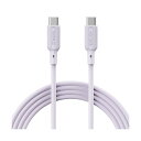 アドテックUSB2.0 Type-C to C ケーブル (100W出力) パープル 1m APC-V1010SCC-U2-PU 1本 【×2セット】 【お徳用 まとめ買い お買い得 業務用 割引 セット販売】(2)