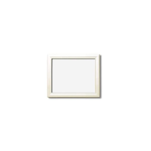 デッサン額縁 額 フレーム 〔 インチサイズ 254×203mm 〕 ホワイト 白 壁掛けひも付き アクリル付き 化粧箱入り