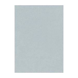 文運堂 ニューカラーR 四ツ切 横392×縦542mm 4NCR-240 はいいろ 100枚入 【×2セット】 【お徳用 まとめ買い お買い得 業務用 割引 セット販売】 日用品雑貨・文房具・手芸 文房具・事務用品 文具 オフィス用品 文房具 事務用品 ノート・紙製品 画用紙