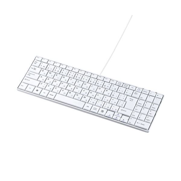 サンワサプライ USBスリムキーボードホワイト SKB-SL17WN 1台 無駄を省いた薄型&コンパクトキーボード。テンキー付き。デジタル家電 家電 パソコン・周辺機器 キーボード・テンキー