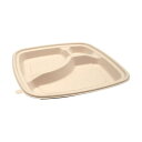パックスタイル BB竹バガス弁当 N23-23B ラミ 227×227×高さ25mm 1パック (50枚) 【×3セット】 【お徳用 まとめ買い お買い得 業務用 割引 セット販売】 キッチン用品・食器・調理器具 日用雑貨・キッチン用品 キッチン 台所用品