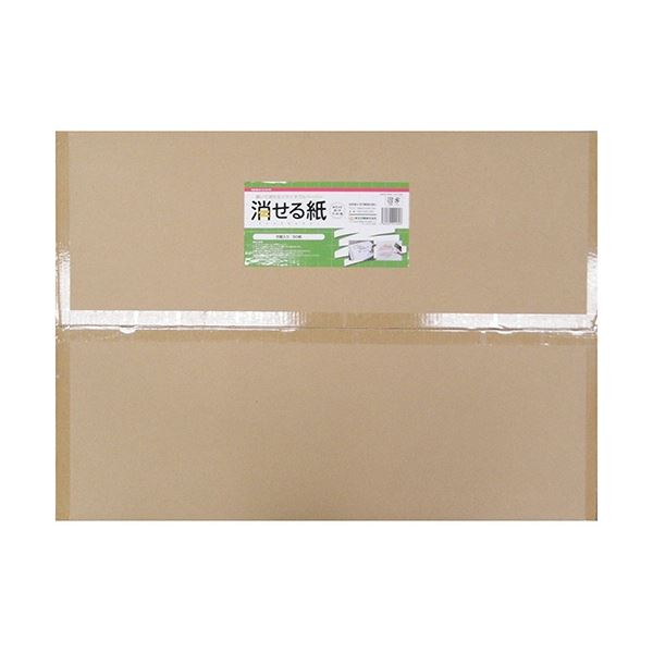 欧文印刷 消せる紙 （ホワイトボードマーカー用） A1判 方眼 594×841mm M5CGSA1W50 1パック （50枚） 日用品雑貨・文房具・手芸 文房具・事務用品 文具 オフィス用品 文房具 事務用品 ホワイトボード・白板