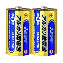 三菱電機 アルカリ乾電池 単1形 LR20N/2S 1セット(20本:2本×10パック)(2)