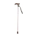 フジホーム ステッキ ベーシック折り畳みS パープル WB3721 1本 【×2セット】 【お徳用 まとめ買い お買い得 業務用 割引 セット販売】 ( 掃除用...