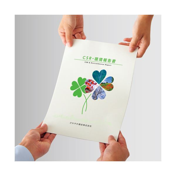 TANOSEE 【お徳用セット】 TANOSEE αエコペーパータイプR100 B4 1箱 （2500枚:500枚×5冊） 【×2セット】 【お徳用 まとめ買い お買い得 業務用 割引 セット販売】 プリンタ PCサプライ・消耗品 コピー用紙・印刷用紙 コピー用紙 コピー 紙 プリンタ用紙