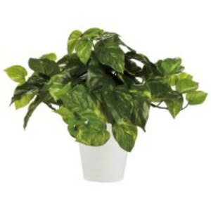 東北花材 人工樹木 ポトスブッシュ 90240 生活用品・インテリア・雑貨 インテリア・家具 観葉植物生活用品・インテリア・雑貨 インテリア・家具 観葉植物