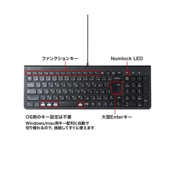 サンワサプライ USBスリムキーボード テンキー付き ブラック SKB-SL31BK 1台