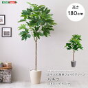 お手入れ簡単フェイクグリーン パキラ Lサイズ(180cm)【メーカー3か月保証:ホームテイスト】 ポリエチレン素材 鉢付き