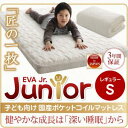 【レギュラーサイズ(195cm):セミシングル マットレス】:日本製 安眠マットレス 抗菌・薄型・軽量 国産ポケットコイル EVA エヴァ シングル レギュラー丈 長さ195cm(レギュラーサイズ)ポケットコイルマットレス マットレス単品 マットレス マットレス単品(3)