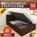 【 跳ね上げ式ベッド 】 開閉・深さが選べる 通気性抜群 跳ね上げベッド 棚付き コンセント付き Prostor プロストル 薄型プレミアムポケットコイルマットレス付き ポケットコイル 【横開き】 セミシングル 【深さ:ラージ】 セミシングルベッド セミシングル(3)