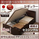 【組立設置サービス付 跳ね上げ式ベッド 収納ベッド 】 大容量 薄型抗菌国産ポケットコイルマットレス付き ポケットコイル 日本製ポケットコイル 【横開き】 【セミシングルベッド 】 マットレスセット セミシングルサイズ 【深さ:レギュラー】(3)