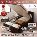 【組立設置サービス付 跳ね上げ式ベッド 収納ベッド 】 大容量 薄型抗菌国産ポケットコイルマットレス付き ポケットコイル 日本製ポケットコイル 【縦開き】 【セミシングルベッド 】 マットレスセット セミシングルサイズ 【深さ:ラージ】
