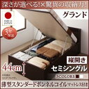 【日本製 収納ベッド 】 日本製 跳ね上げベッド 収納ベッド Clory クローリー 薄型スタンダードボンネルコイル付き ボンネルコイル 【縦開き】 セミシングル 【深さ: グランド】 日本製ベッド 日本製 高級ベッド セミシングルベッド セミシングル マットレス(3)