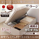 【組立設置サービス付 跳ね上げ式ベッド 収納ベッド 】 収納家具 収納ベッド 大容量 薄型プレミアムポケットコイルマットレス付き ポケットコイル 【横開き】 【セミダブルベッド 】 マットレスセット セミダブルサイズ 【深さ:ラージ】 セミダブルベッド セミダブル(3)