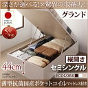 【日本製 収納ベッド】 国産 跳ね上げ 収納ベッド Regless リグレス 薄型抗菌国産ポケットコイルマットレス付き ポケットコイル 日本製ポケットコイル 【縦開き】 セミシングル 【深さ: グランド】 日本製ベッド 日本製マットレス セミシングルベッド セミシングル(3)