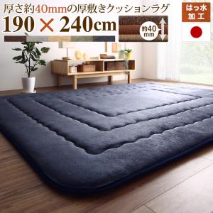 Character Pattern - 【 ラグ ・ カーペット 】 厚み40mmのふっくら厚敷きクッションラグ Vermeer フェルメル 190×240cm絨毯 じゅうたん ラグ カーペット 保温性 冬物アイテム 軽量 かわいい マイクロファイバー 冬