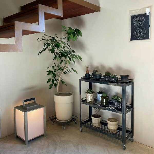 Rakuten - Stahl (Botanical) WIRE RACK -シュタール ワイヤー ラック【植木鉢 プランター ボタニカルラック ボタニカルシェルフ 植物棚 観葉植物 多肉植物 塊根植物 インテリアグリーン インテリアラック シェルフ 収納棚 インダストリアル