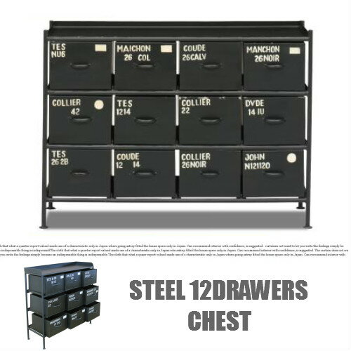 STEEL 12DRAWERS CHEST/スチール12ドロアーズチェスト