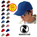 【更に、2点で100円オフクーポン】 NEWHATTAN C...