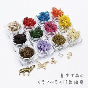 【メール便送料無料】レジン ハーバリウム花材 苔生す森のカラフルモス 12色 福袋 ランダムカラー アクリルケース入り チャームのオマケ付き