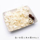 白いお花と木の実のセット 1ケース 