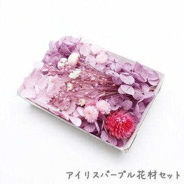 アイリスパープル花材セット 1ケース /ハーバリウムやアロマワックスバー ボタニカルサシェにも 花材 プリザーブドフラワー あじさい 紫色 パープル 桃色 ピンク かすみ草 霞草 カスミソウ 千日紅 センニチコウ ペッパーベリー ボタンフラワー スターフラワー モリソニア