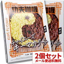 【メール便送料無料】2個セット チャイニーズキーマカリー 功夫 カレーおじさん＼(^o^)／監修 レトルトカレー 辛口 36チャンバーズ・オブ・スパイス [ 高級 レトルト食品 ギフト お中元 御歳暮 内祝い 父の日 非常食 保存食 お取り寄せグルメ 詰め合わせ 36cos ]