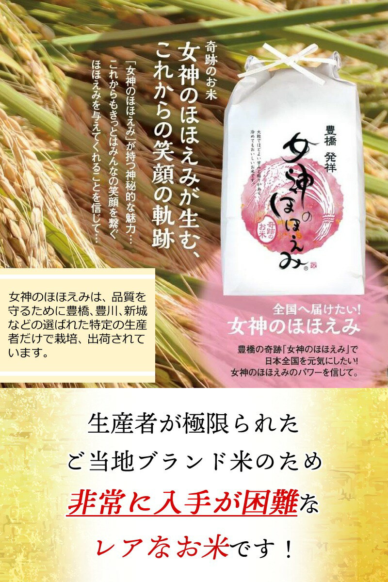 北海道産五色豆玄米ご飯 女神のほほえみ 2合 300g 1パック 国産ブランド米 愛知県産ご当地米 炊き込みご飯[宅配便] 3