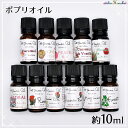 ポプリオイル 約10ml アロマワックスサシェやボタニカルサシェ作りに/ハンドメイド/手作りキット